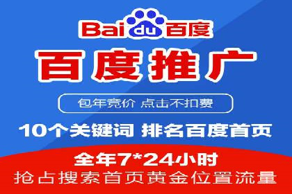 百度推广全攻略：成功案例剖析